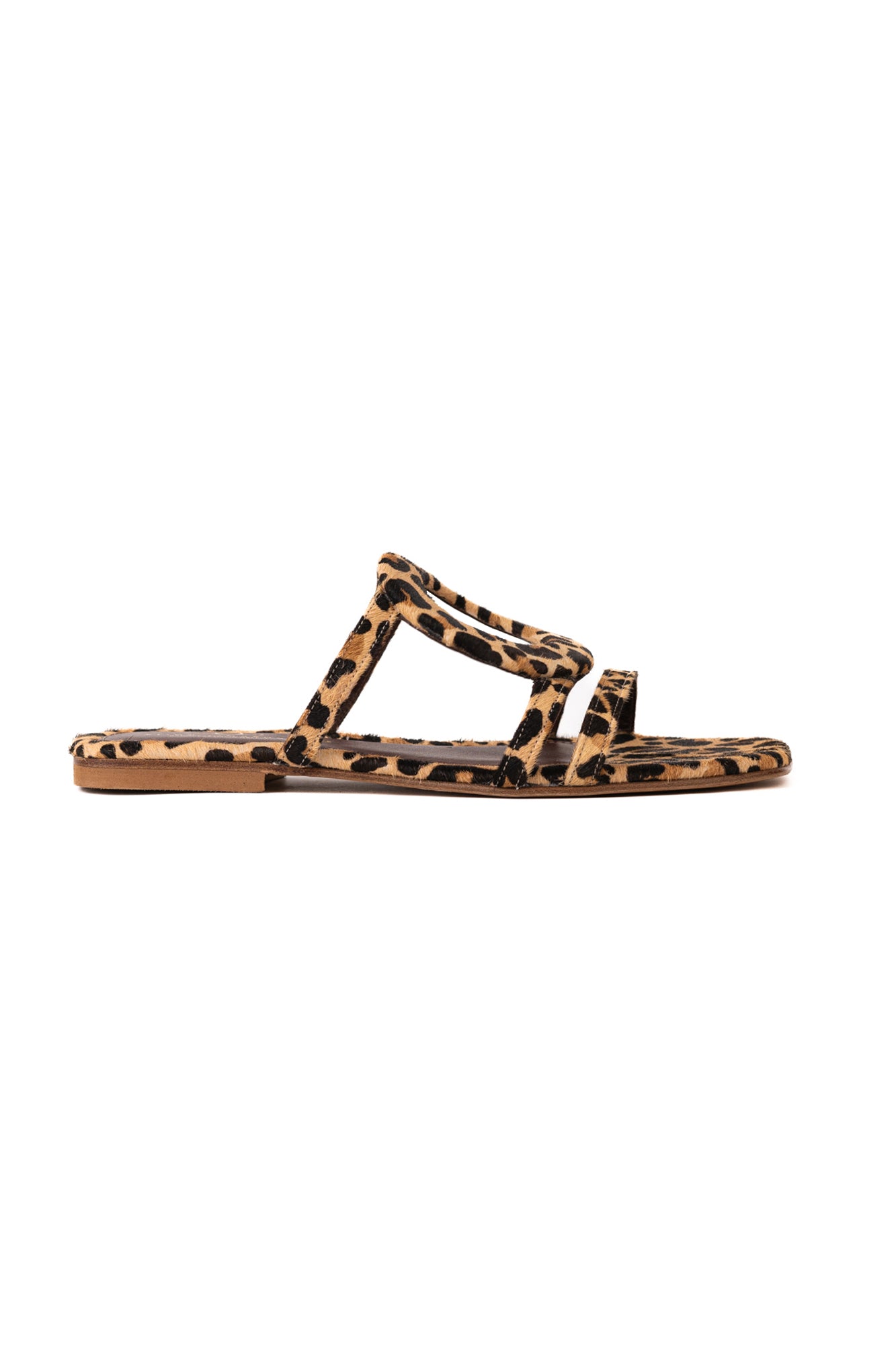 Solace Leopard