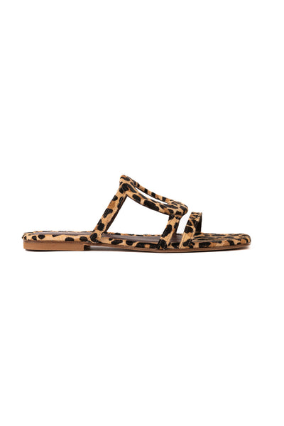 Solace Leopard