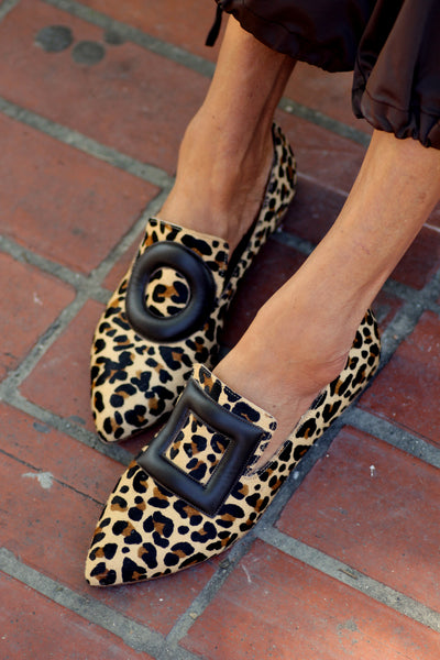 Lulu Leopard